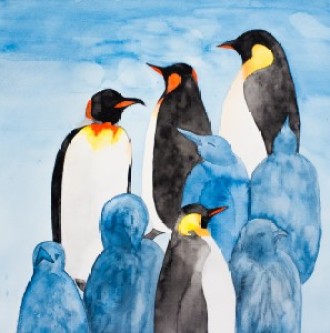 Pinguine (privat)
