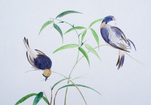 Vögel im Bambus